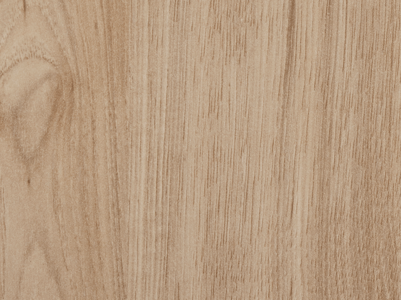 Échantillon castella