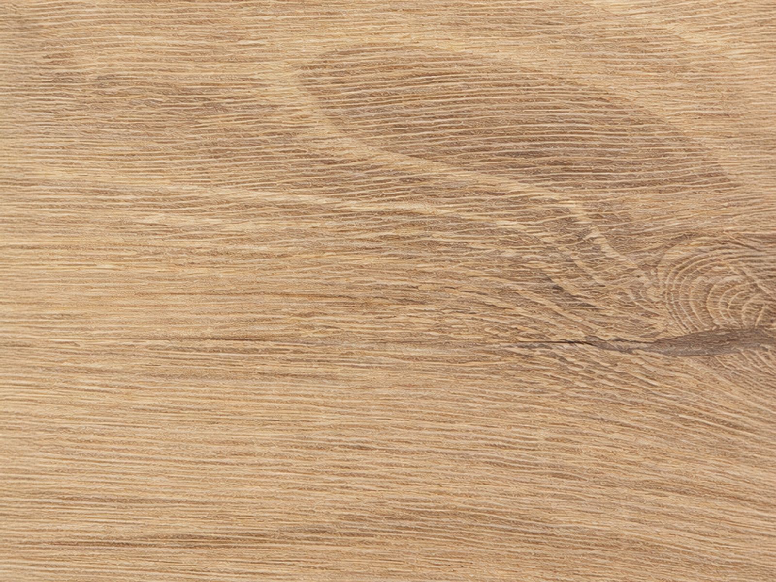 Échantillon chêne taurus