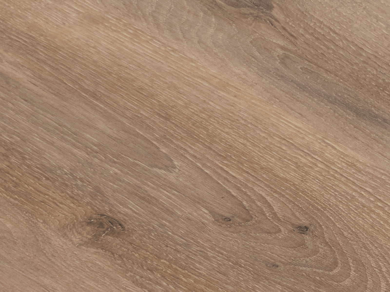 Échantillon chêne canyon