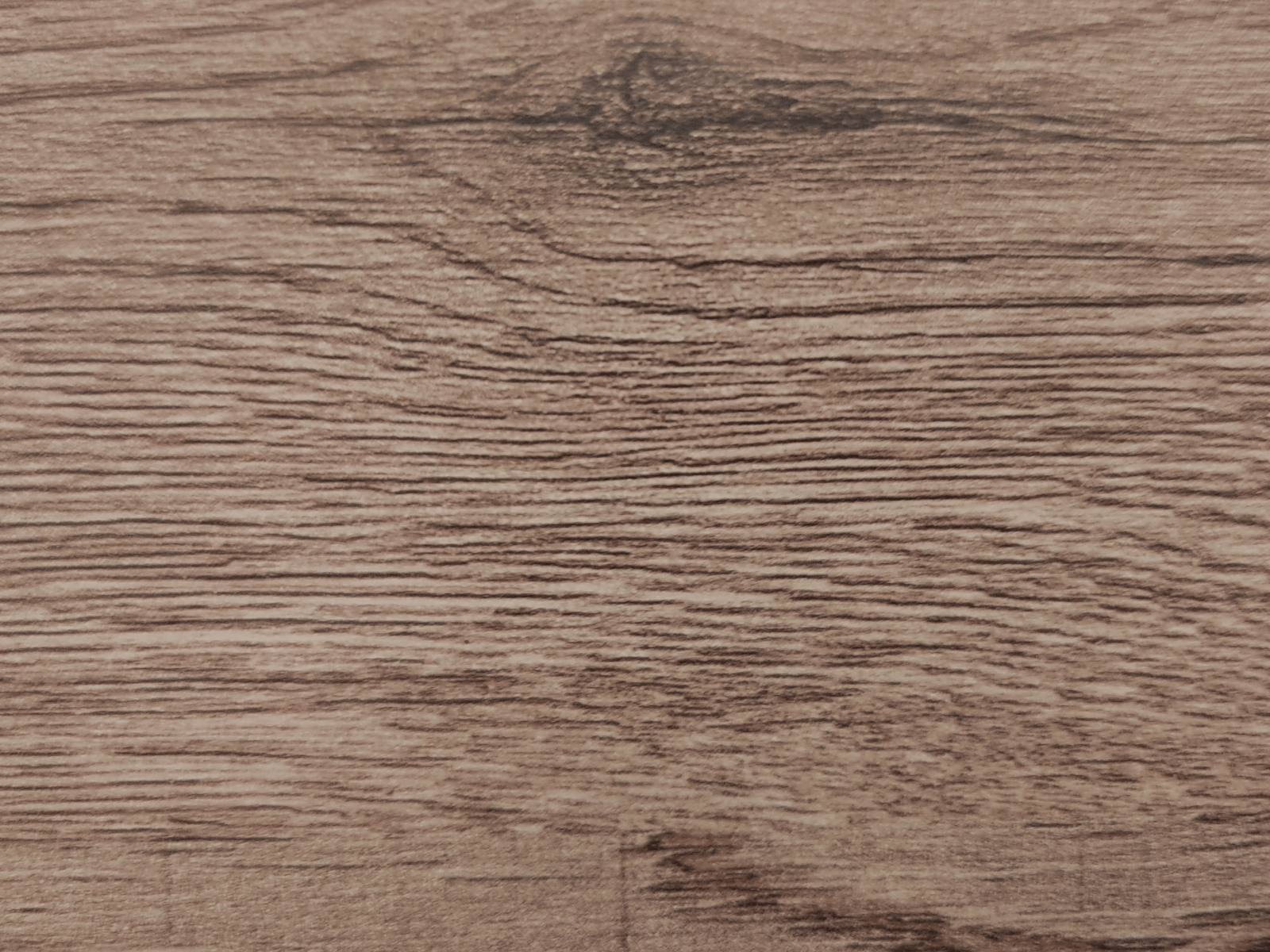 Échantillon chêne scarlet