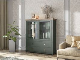 Vitrine EVOCO 2 portes 2 tiroirs chêne ribbec/vert