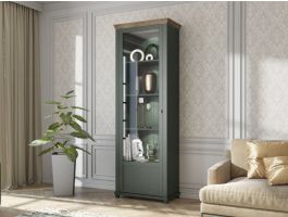 Colonne EVOCO 1 porte chêne ribbec/vert